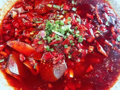 -青城甲(青城山店)