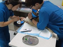 -嘉馨宠物医院·CT影像转诊·心脏科·犬猫全科诊疗中心(下沙大学城院区)