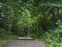 -五营红松林海景区