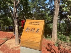 -北京西山国家森林公园