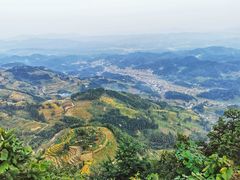 -紫鹊界梯田景区