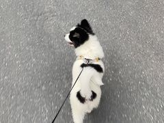 -仲盛世界商城
