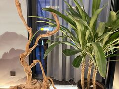 -素慧餐厅(大虹桥店)