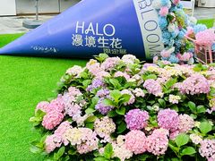 -HALO广场(梨园路店)