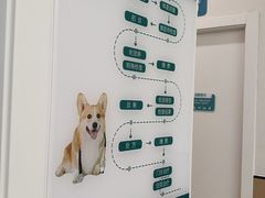 -瑞派康怡24h宠物医院·犬猫医疗中心·微创绝育(瑞景分院)