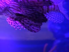 -沈阳海洋探索中心