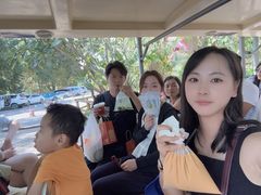 -西双版纳傣族园