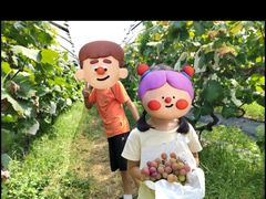 -马陆小张葡萄园农家乐