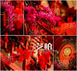 -保定金沙芝柏婚礼策划