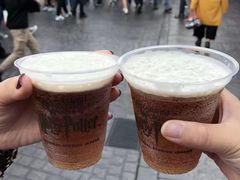 -哈利波特魔法世界