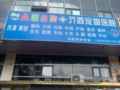 -A猫a狗全科·犬猫异宠·芥西宠物医院(南开总院)