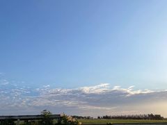 -空港花田景区