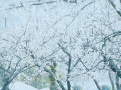 -国际非物质文化遗产博览园