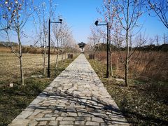 -广富林郊野公园