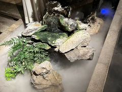 -佬麻雀·剁椒鱼头(京基KK One店)