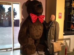 -济州岛泰迪熊博物馆