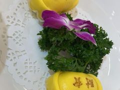-齐家花园大酒店(宝山店)