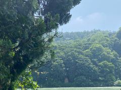 -都江堰景区