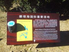 -碧塔海