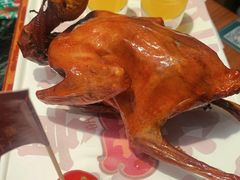 红烧乳鸽-大鸽饭(北京路店)