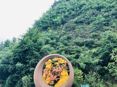-马口生态公园