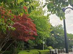 -大连植物园