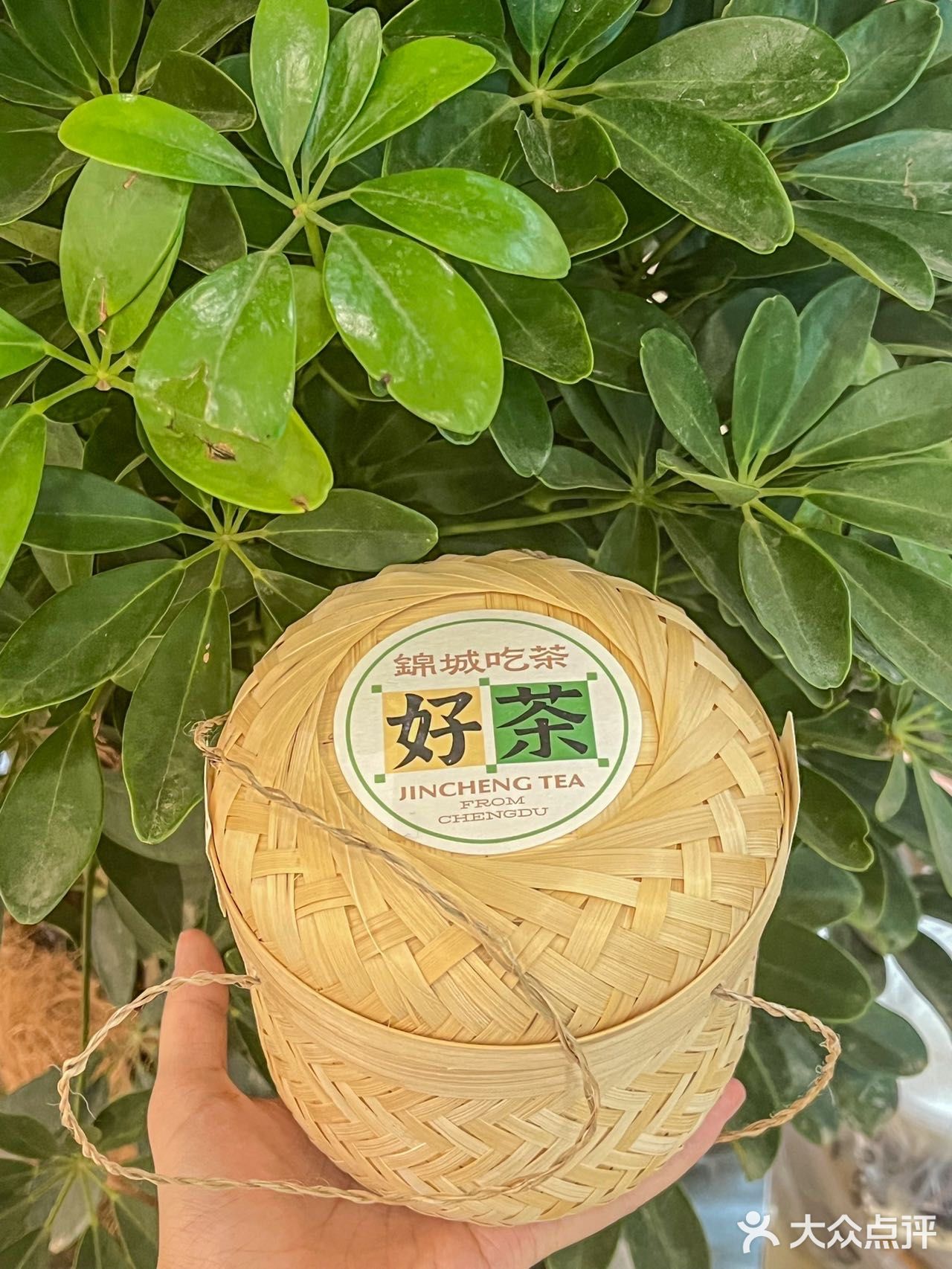 终于喝到咸奶盖碗茶了！奶香奶香 太绝了…