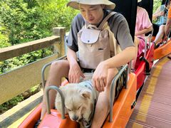 -南海湾森林生态园