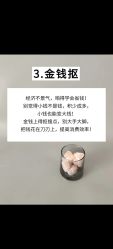 -金美秀养生瘦身
