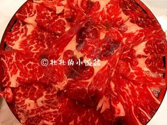 安格斯牛肉-鲜入围煮花胶鸡海鲜火锅