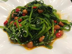 -新疆红柳花餐厅(新洲店)