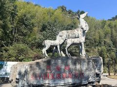 -长沙黑麋峰国家森林公园