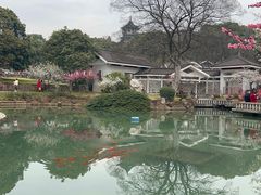 -无锡梅园公园