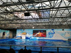 -石林冰雪海洋世界