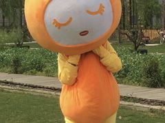 -前小桔亲子创意农场·草莓采摘·露营烧烤