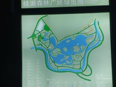 -桂湖森林公园
