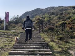 -大姆山草场