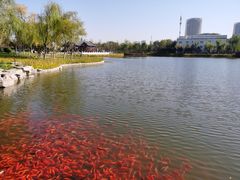 -西海子公园