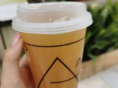 茉莉白桃-去茶山