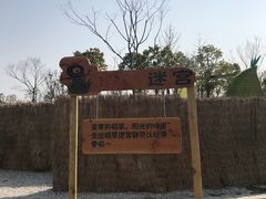 -水月周庄铂尔曼酒店 · 漾全日餐厅
