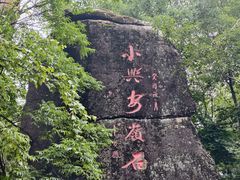 -汤旺河林海奇石景区