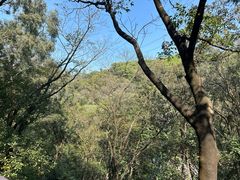 -广州市白云山风景名胜区