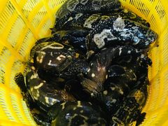 -海峡水产品交易中心(海鲜交易区)