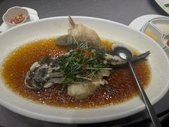 -骏莱海鲜鱼港(五角场店)