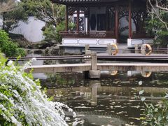 -秋霞圃