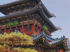 -迎泽公园