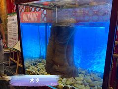 -亮宝楼国宴+文化陕菜