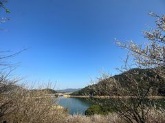 -广州市流溪河国家森林公园