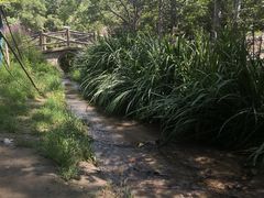 -白水寺森林公园