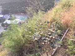 -狼牙山风景区